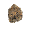 Brownie Scout