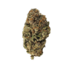 Grape Gas Mask