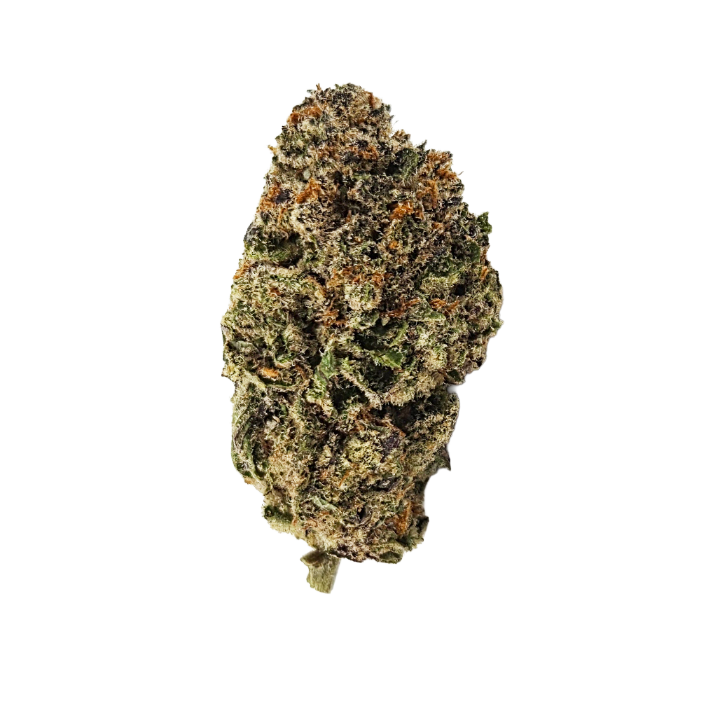 Grape Gas Mask