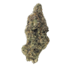 Purple Urkle