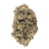 Slurricane