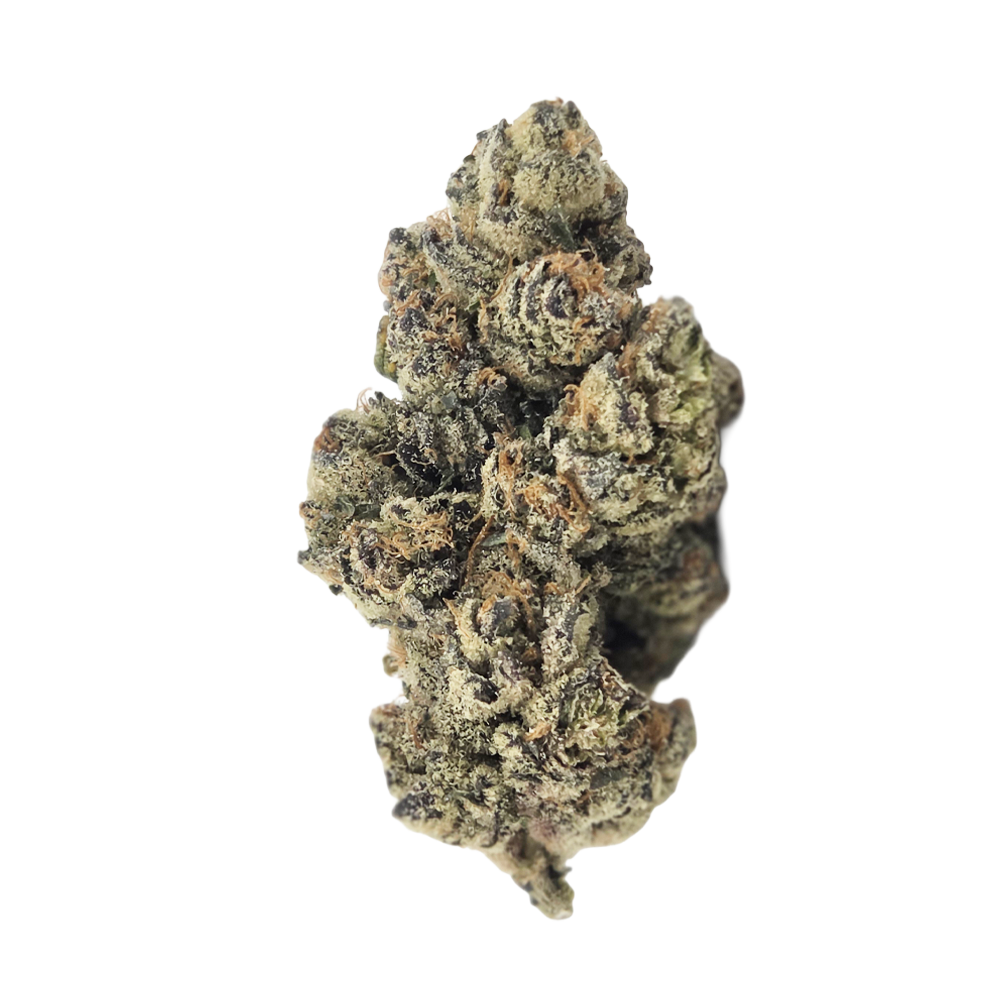 Watermelon Gelato