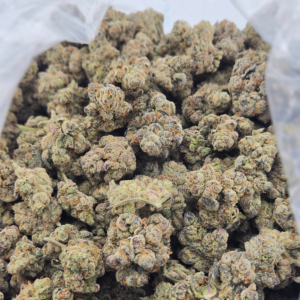 Watermelon Gelato - Image 3