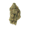 Blackout Berries