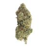Velvet Berry